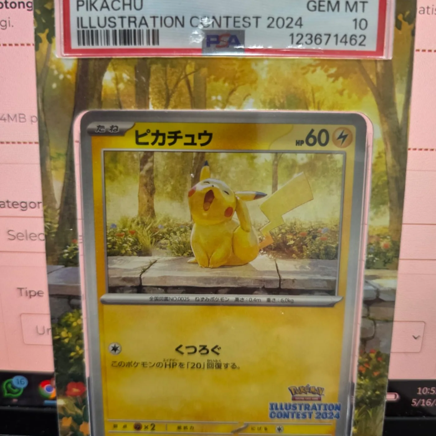 [PSA 10] Pikachu [SV-P 242](Promo Card Pack "Illustration Contest 2024 Promo Card Commemoration Campaign for Award-Winning Works")